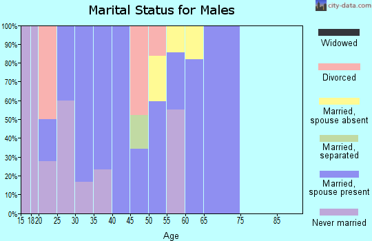 Zip code 99743 marital status for males