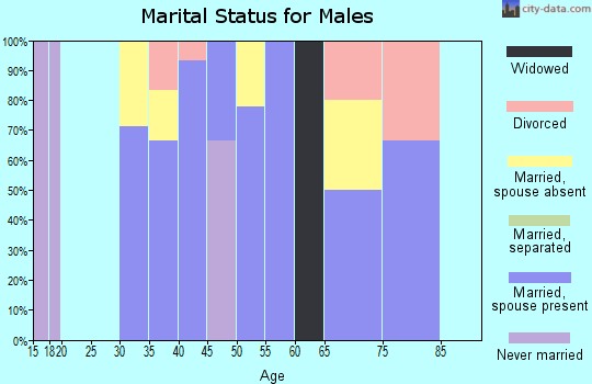 Zip code 99744 marital status for males