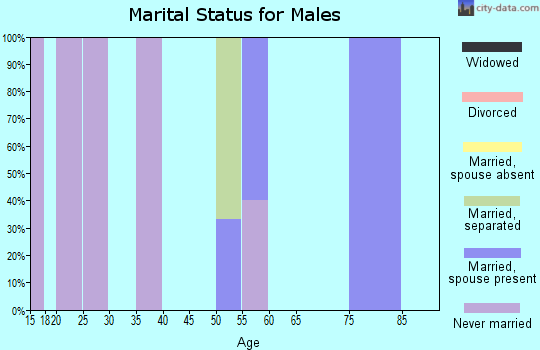 Zip code 99745 marital status for males
