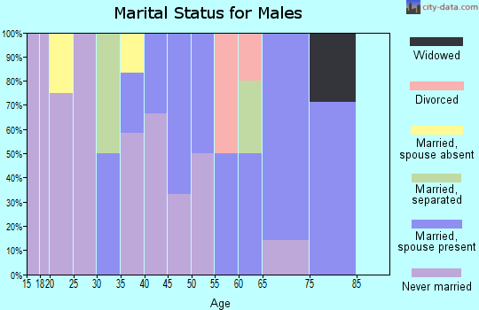 Zip code 99746 marital status for males