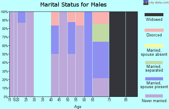 Zip code 99747 marital status for males