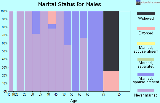 Zip code 99748 marital status for males