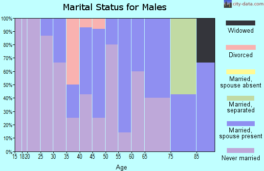 Zip code 99749 marital status for males