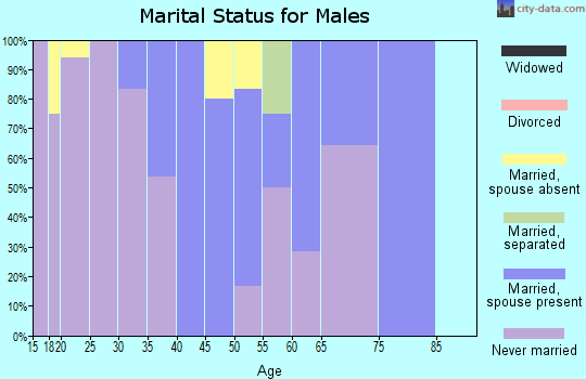 Zip code 99750 marital status for males