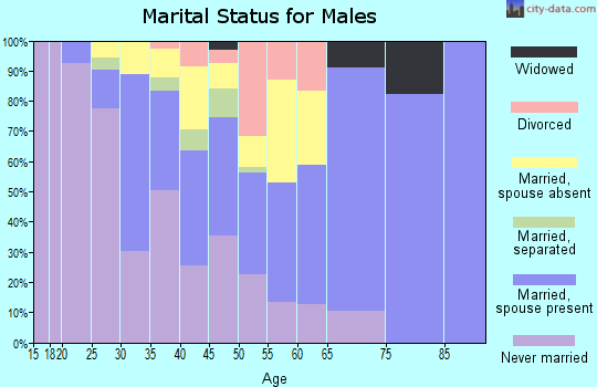 Zip code 99752 marital status for males