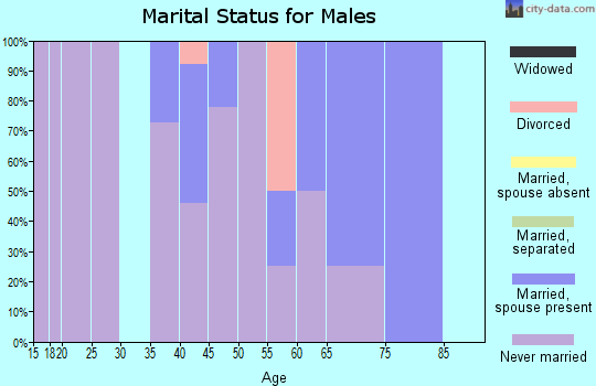 Zip code 99753 marital status for males