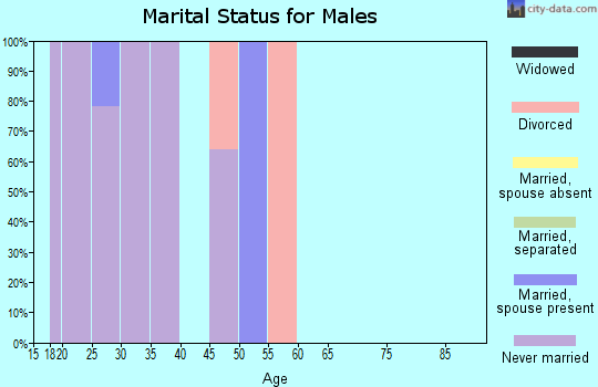 Zip code 99755 marital status for males