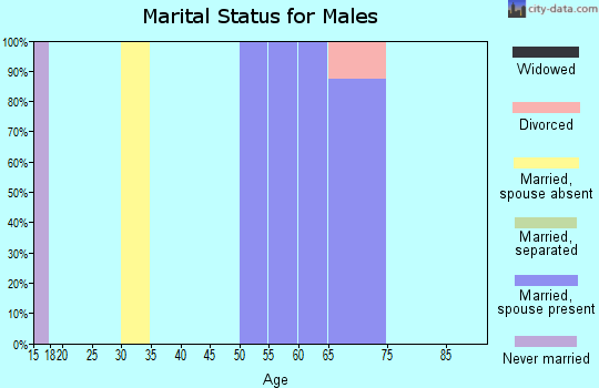 Zip code 99756 marital status for males