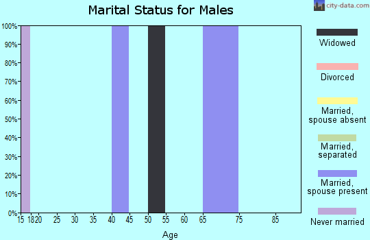 Zip code 99757 marital status for males
