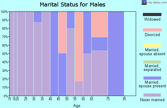 Zip code 99758 marital status for males