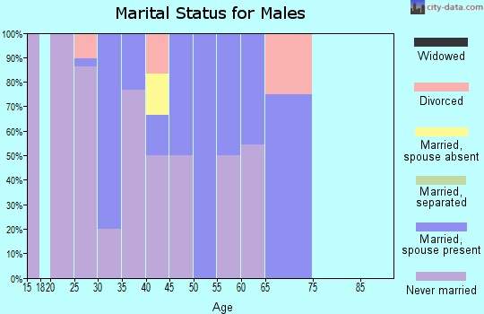 Zip code 99759 marital status for males