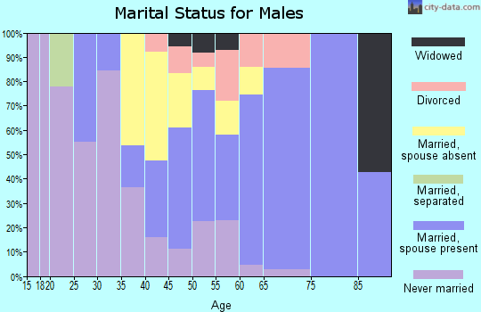Zip code 99760 marital status for males