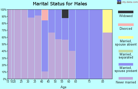 Zip code 99761 marital status for males
