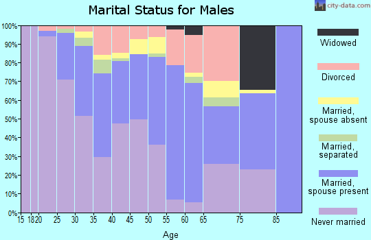 Zip code 99762 marital status for males