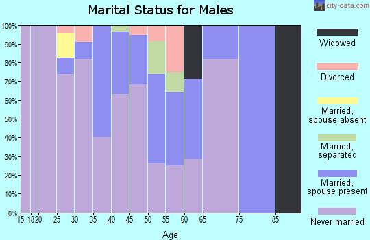 Zip code 99763 marital status for males