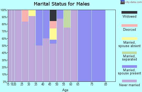 Zip code 99765 marital status for males