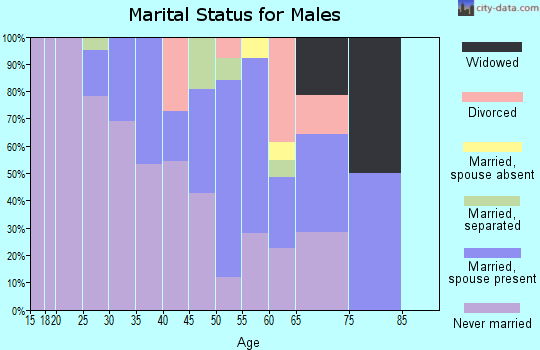 Zip code 99766 marital status for males