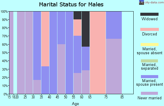 Zip code 99768 marital status for males