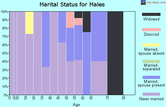 Zip code 99771 marital status for males