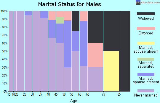 Zip code 99772 marital status for males