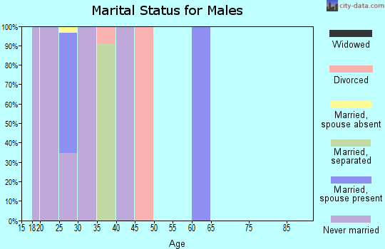 Zip code 99775 marital status for males