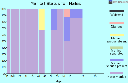 Zip code 99776 marital status for males
