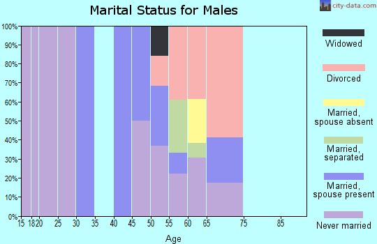 Zip code 99777 marital status for males