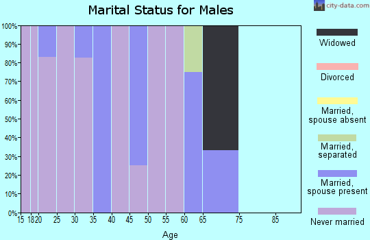 Zip code 99778 marital status for males