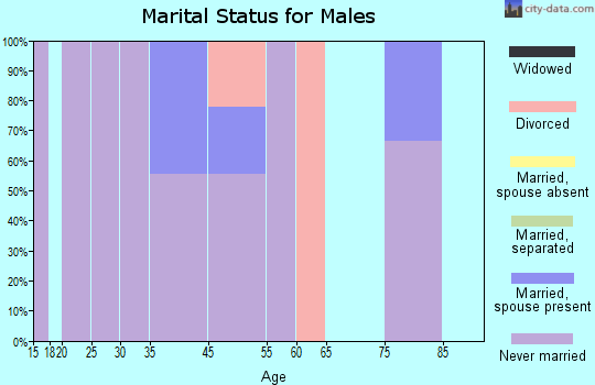 Zip code 99779 marital status for males