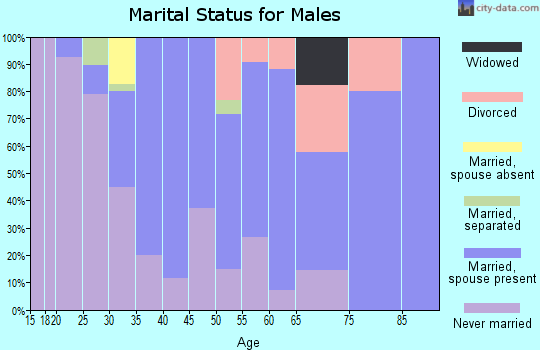 Zip code 99780 marital status for males