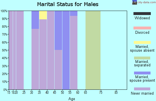 Zip code 99781 marital status for males