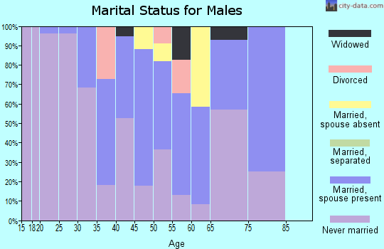 Zip code 99782 marital status for males