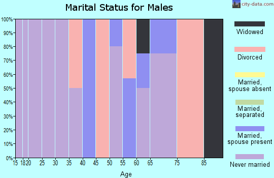 Zip code 99784 marital status for males