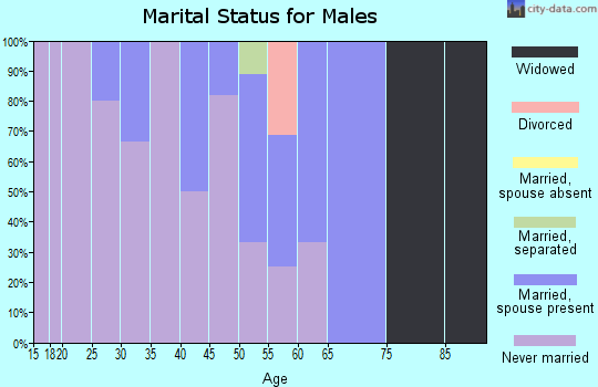 Zip code 99785 marital status for males