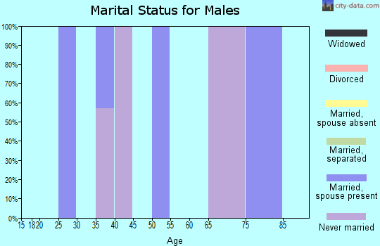 Zip code 99788 marital status for males