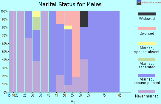 Zip code 99789 marital status for males