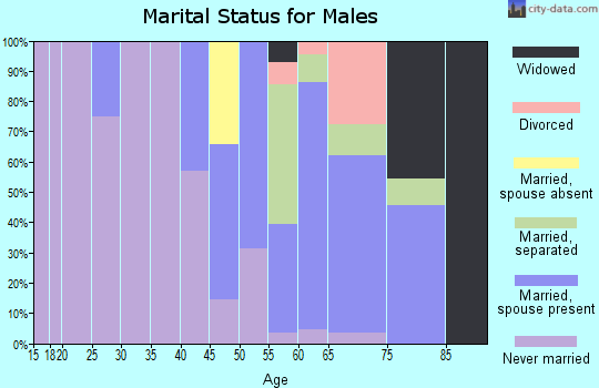 Zip code 99820 marital status for males
