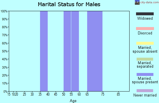 Zip code 99825 marital status for males