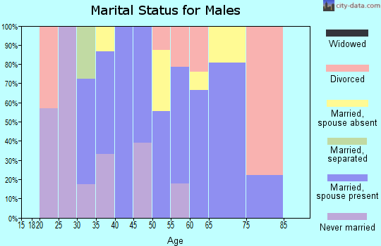 Zip code 99826 marital status for males