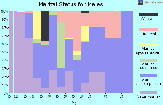 Zip code 99827 marital status for males
