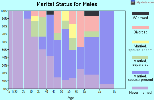Zip code 99829 marital status for males