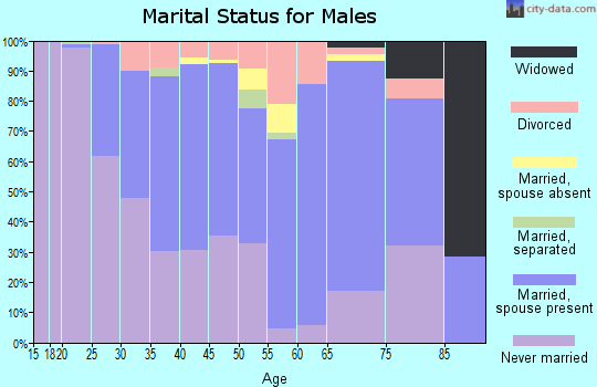 Zip code 99833 marital status for males