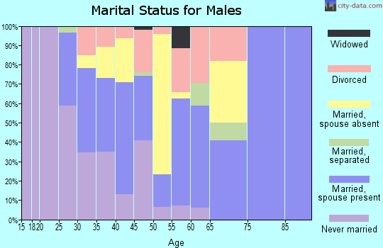 Zip code 99840 marital status for males