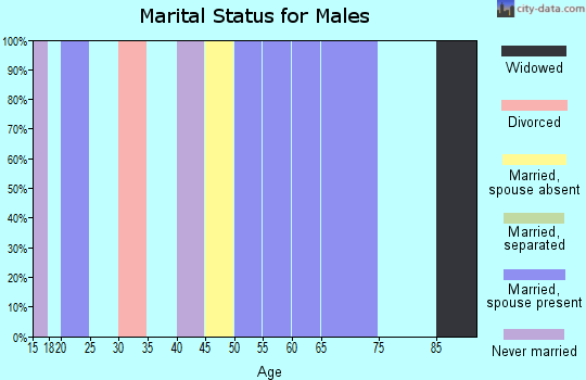 Zip code 99841 marital status for males