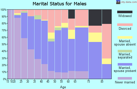 Zip code 99901 marital status for males
