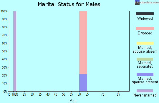 Zip code 99903 marital status for males