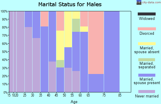 Zip code 99919 marital status for males