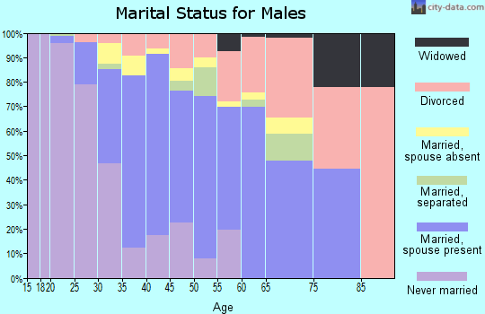 Zip code 99921 marital status for males