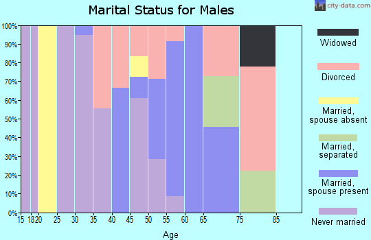 Zip code 99922 marital status for males