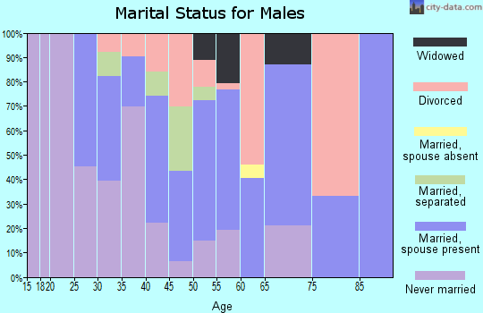 Zip code 99926 marital status for males